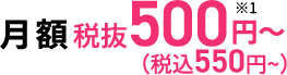 月額500円(税込550円)~