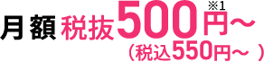 月額500円(税込550円)~