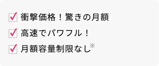 業界最安級!驚きの月額・速い!カンタン!・月額容量制限なし