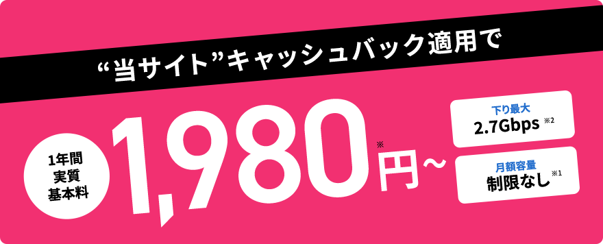 1年間月額実質基本料1,980円