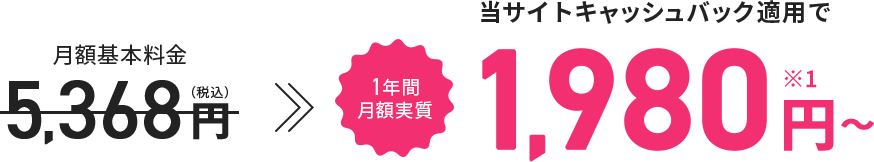 1年間実質基本料1,980円