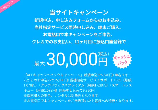 当サイトキャンペーン 新規申込、申込フォームからのお申込み、当社指定サービス同時申し込み、端末ご購入、お電話口で本キャンペーンをご申告、クレカでのお支払い、11ヶ月目に振込口座登録で 最大30,000円（税込）キャッシュバック