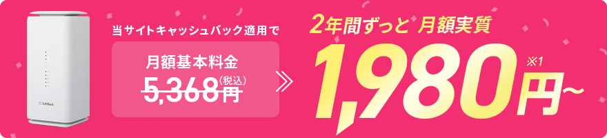 月額実質基本料1,980円