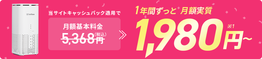 月額実質基本料1,980円