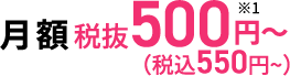 月額500円(税込550円)~
