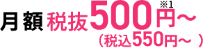 月額500円（税込550円）～