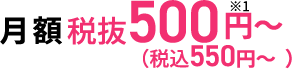 月額500円(税込550円)~
