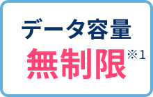 データ容量無制限